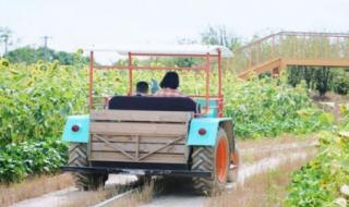 疯狂农场3之美国派