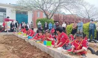 幼儿园招生简章图片